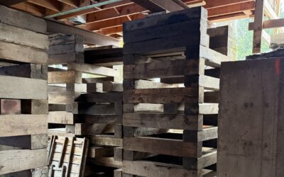When a Major Renovation Makes More Sense Than Starting Over
